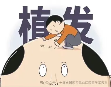 頭發(fā)是人的第二張臉，不要?jiǎng)硬粍?dòng)就“聰明絕頂”！