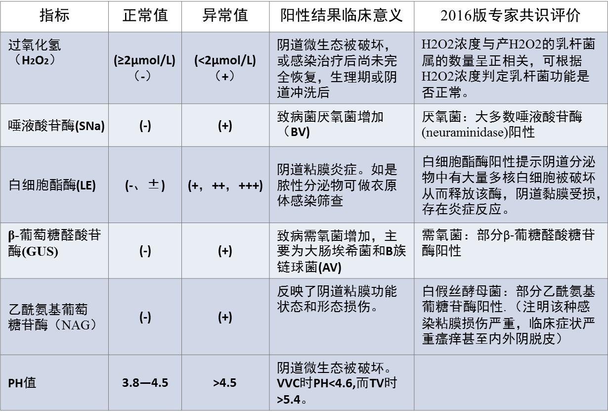 圖片1